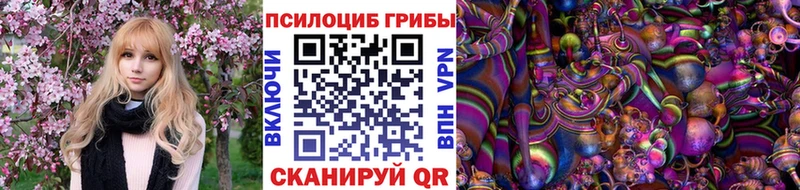 Псилоцибиновые грибы мицелий  купить наркоту  Вилюйск 